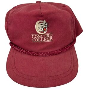 Vintage Concord Mountain Lions Hat Cap Strap Back Rope 80s 90s University USA *